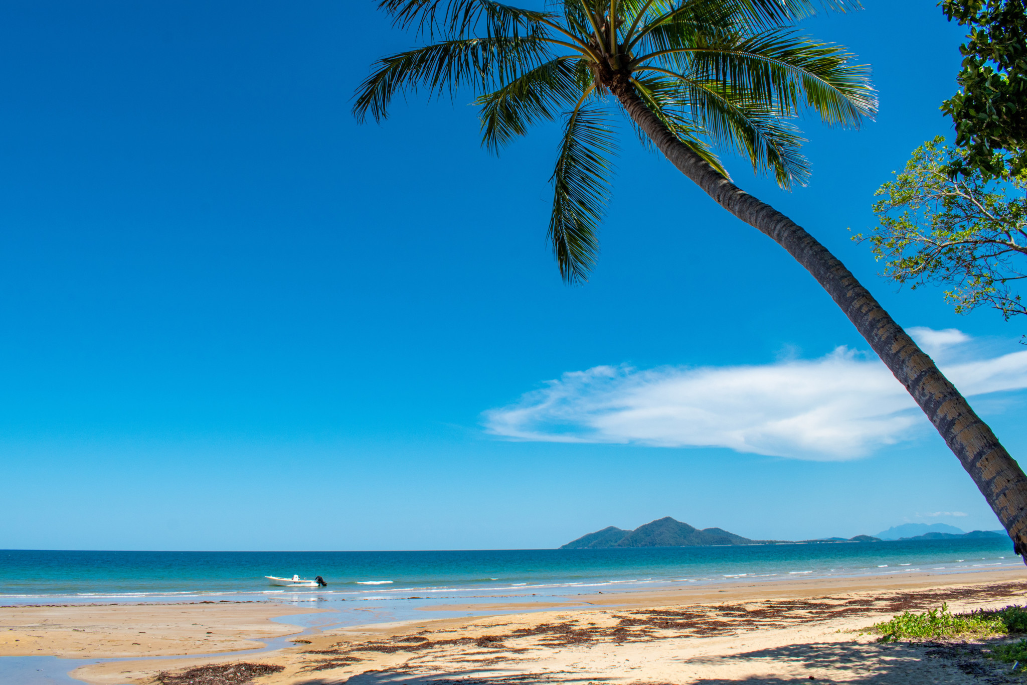 mission-beach-shutterstock_1075893419.jpg
