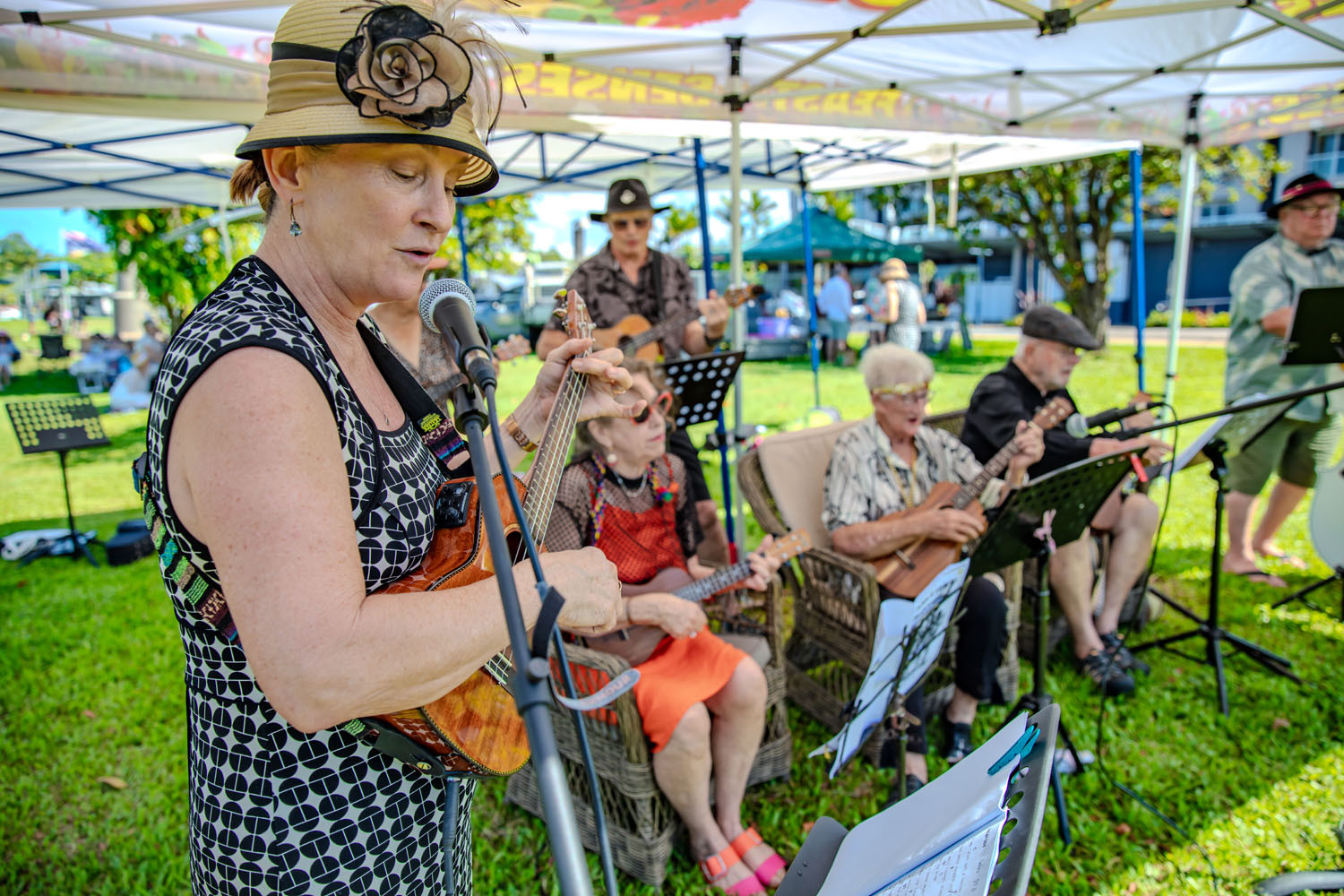 Brigid Darveniza and members of the Johnstone River Ukuleles playing at the Great Gatsby picnic. Pictures: Vince Sofia